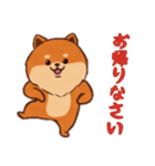 [お帰りなさい専用]ポメラニアン1（個別スタンプ：15）