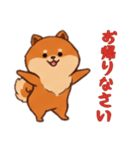 [お帰りなさい専用]ポメラニアン1（個別スタンプ：16）