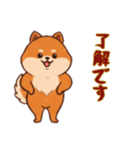 [了解です専用]ポメラニアン2（個別スタンプ：1）