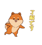 [了解です専用]ポメラニアン2（個別スタンプ：3）