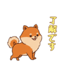 [了解です専用]ポメラニアン2（個別スタンプ：4）