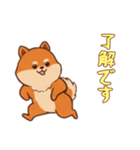 [了解です専用]ポメラニアン2（個別スタンプ：6）
