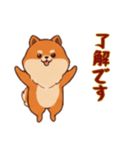 [了解です専用]ポメラニアン2（個別スタンプ：7）