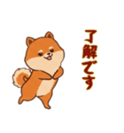 [了解です専用]ポメラニアン2（個別スタンプ：9）