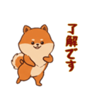 [了解です専用]ポメラニアン2（個別スタンプ：10）