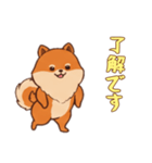 [了解です専用]ポメラニアン2（個別スタンプ：12）