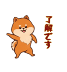 [了解です専用]ポメラニアン2（個別スタンプ：13）