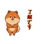 [了解です専用]ポメラニアン2（個別スタンプ：14）