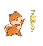 [了解です専用]ポメラニアン2（個別スタンプ：15）