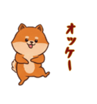 [オッケー専用]ポメラニアン2（個別スタンプ：1）