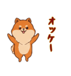 [オッケー専用]ポメラニアン2（個別スタンプ：2）