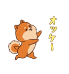 [オッケー専用]ポメラニアン2（個別スタンプ：4）