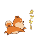 [オッケー専用]ポメラニアン2（個別スタンプ：5）