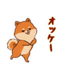 [オッケー専用]ポメラニアン2（個別スタンプ：7）