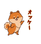 [オッケー専用]ポメラニアン2（個別スタンプ：8）