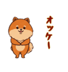 [オッケー専用]ポメラニアン2（個別スタンプ：9）