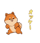 [オッケー専用]ポメラニアン2（個別スタンプ：10）