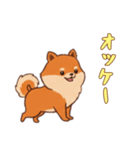 [オッケー専用]ポメラニアン2（個別スタンプ：12）