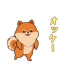 [オッケー専用]ポメラニアン2（個別スタンプ：13）