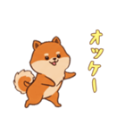 [オッケー専用]ポメラニアン2（個別スタンプ：14）