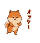 [オッケー専用]ポメラニアン2（個別スタンプ：15）