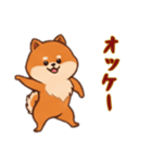 [オッケー専用]ポメラニアン2（個別スタンプ：16）