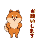 [お願いします専用]ポメラニアン2（個別スタンプ：4）