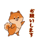 [お願いします専用]ポメラニアン2（個別スタンプ：5）