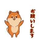 [お願いします専用]ポメラニアン2（個別スタンプ：11）