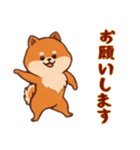 [お願いします専用]ポメラニアン2（個別スタンプ：12）