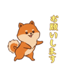 [お願いします専用]ポメラニアン2（個別スタンプ：13）