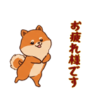 [お疲れ様です専用]ポメラニアン2（個別スタンプ：11）
