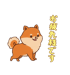 [お疲れ様です専用]ポメラニアン2（個別スタンプ：13）