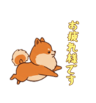 [お疲れ様です専用]ポメラニアン2（個別スタンプ：14）
