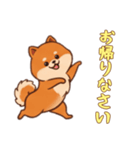 [お帰りなさい専用]ポメラニアン2（個別スタンプ：1）