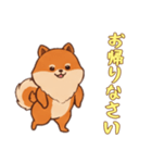 [お帰りなさい専用]ポメラニアン2（個別スタンプ：2）