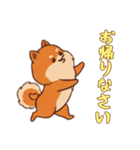 [お帰りなさい専用]ポメラニアン2（個別スタンプ：3）