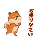 [お帰りなさい専用]ポメラニアン2（個別スタンプ：5）