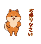 [お帰りなさい専用]ポメラニアン2（個別スタンプ：7）