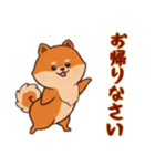 [お帰りなさい専用]ポメラニアン2（個別スタンプ：8）