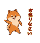 [お帰りなさい専用]ポメラニアン2（個別スタンプ：9）