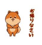 [お帰りなさい専用]ポメラニアン2（個別スタンプ：10）