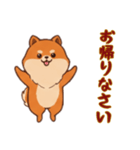 [お帰りなさい専用]ポメラニアン2（個別スタンプ：11）