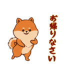 [お帰りなさい専用]ポメラニアン2（個別スタンプ：12）