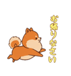 [お帰りなさい専用]ポメラニアン2（個別スタンプ：15）