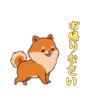 [お帰りなさい専用]ポメラニアン2（個別スタンプ：16）