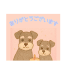 仲良しワンコのありがとうございます専用（個別スタンプ：11）
