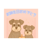 仲良しワンコのお誕生日おめでとう専用（個別スタンプ：4）