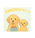 仲良しワンコのお誕生日おめでとう専用（個別スタンプ：6）