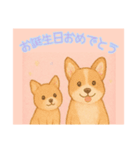 仲良しワンコのお誕生日おめでとう専用（個別スタンプ：11）